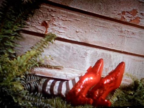 The Social Media Impact of the Wicked Witch Feet Under House Gif